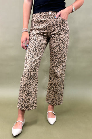 Person wearing leopard print pants on a plain background