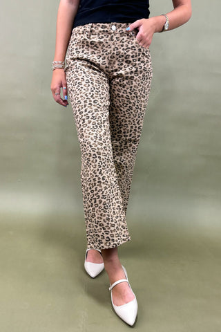 Person wearing leopard print pants with a plain background