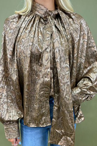 Person wearing a patterned blouse with long sleeves against a green background