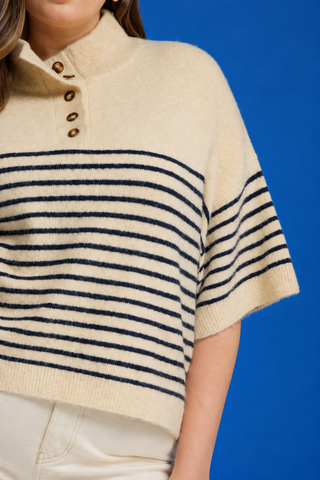PLUS Alpine Escape Stripe High Neck Button Detail Knit Top