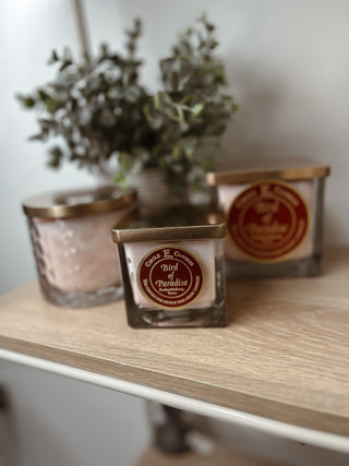 Bird Of Paradise 8oz Candle