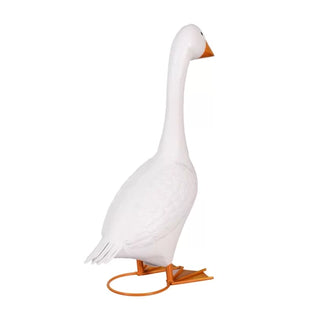 White goose with orange feet on a white background