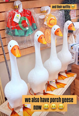 Decorative geese with outfits on display in a store setting.