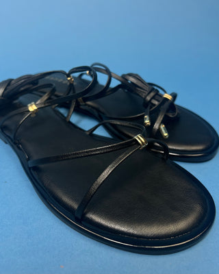 A pair of black leather flat sandals with thin strappy details and small gold hardware, against a solid blue background.