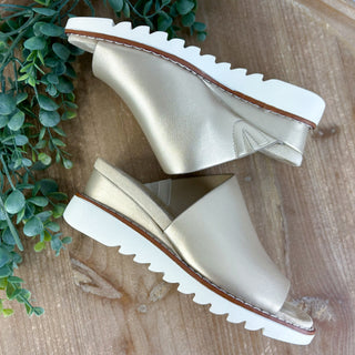 Easy Wander Wedge