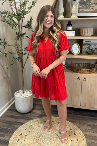 Woman in a red dress standing in a room with a plant and shelves.