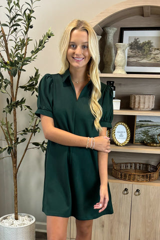 Picture Perfect Puff Sleeve Mini Dress