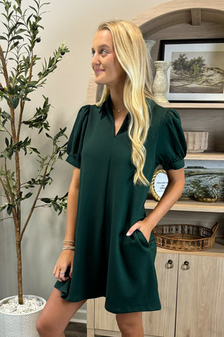 Picture Perfect Puff Sleeve Mini Dress
