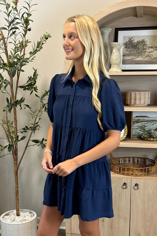 Woman wearing a blue dress standing in a room with a plant and shelves.