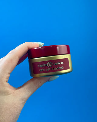 Bird of Paradise tropical scented candle in a brushed gold travel tin with a berry-colored lid, featuring a clean-burning single wick and available in multiple sizes for home fragrance.