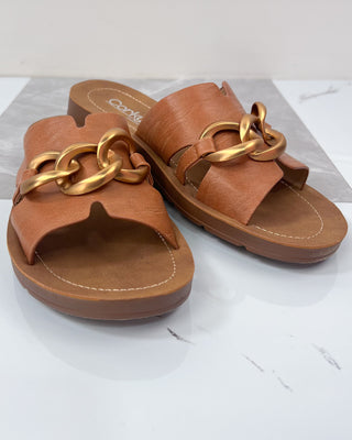Pair of brown sandals with gold chain details on a white surface