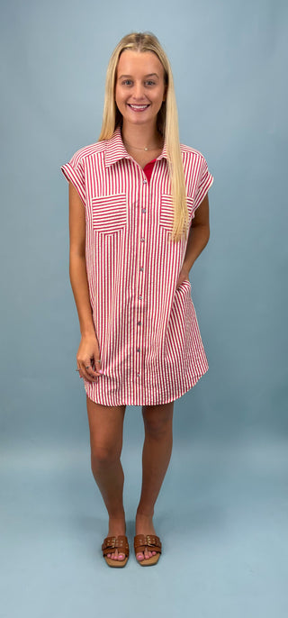 Picnic Cutie Striped Mini Dress