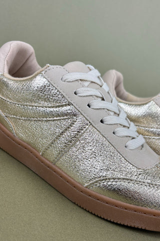 Silver sneaker with white laces on a green background
