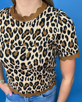 A woman wearing a short-sleeve leopard print knit top with brown ribbed trim, paired with blue jeans