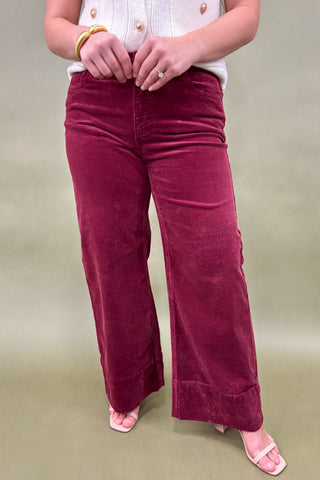 Person wearing maroon corduroy pants on a plain background