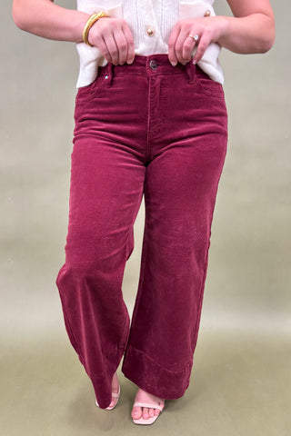 Person wearing maroon corduroy pants on a plain background