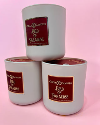 Birds Of Paradise Candle *More Sizes*