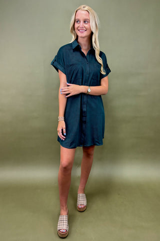 Woman wearing a teal dress against a green background