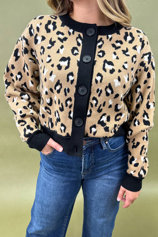 Person wearing a leopard print cardigan with black trim and blue jeans on a green background