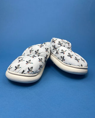 Cozy white duck slippers with cushioned interior displayed against a solid blue background. 