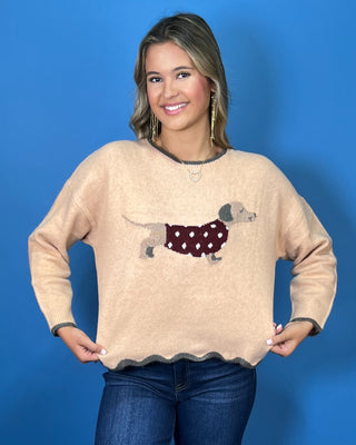 Tan dachshund knit sweater with polka dot dog design, contrast trim, long sleeves, and scalloped hem.