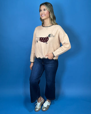 Tan dachshund knit sweater with polka dot dog design, contrast trim, long sleeves, and scalloped hem.