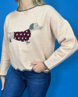 Tan dachshund knit sweater with polka dot dog design, contrast trim, long sleeves, and scalloped hem.