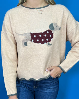 Tan dachshund knit sweater with polka dot dog design, contrast trim, long sleeves, and scalloped hem.