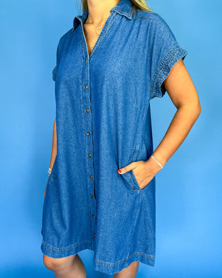 Woman wearing a blue denim dress against a blue background