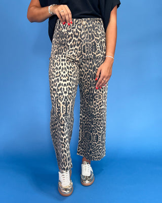 Person wearing leopard print pants on a blue background