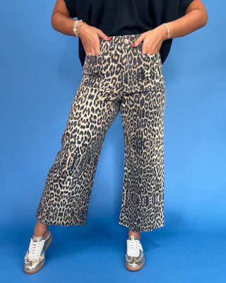 Person wearing leopard print pants on a blue background
