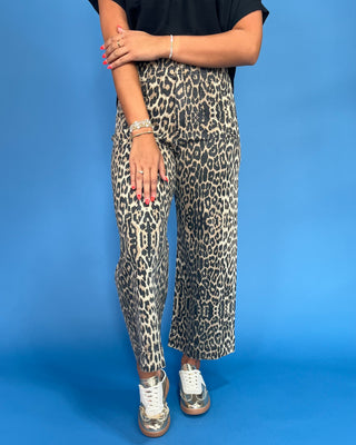 Person wearing leopard print pants on a blue background