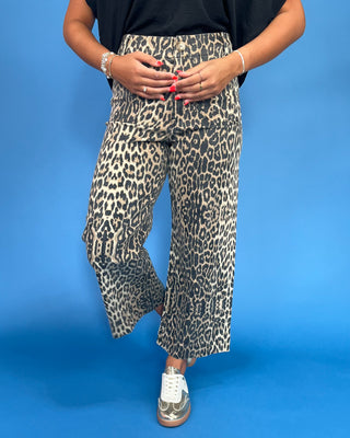 Person wearing leopard print pants on a blue background