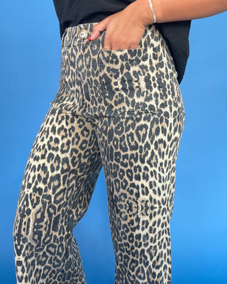 Leopard print pants worn by a person on a blue background