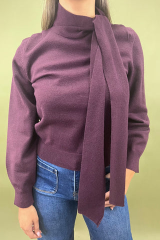Person wearing a purple sweater with a matching scarf against a green background