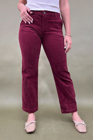 Person wearing maroon pants on a plain background