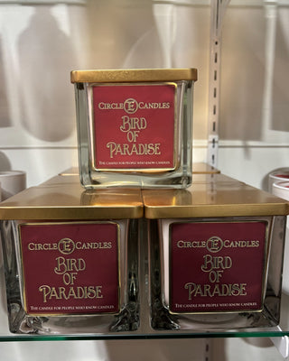 Three 'Bird of Paradise' candles from Circle Candles on a glass shelf.