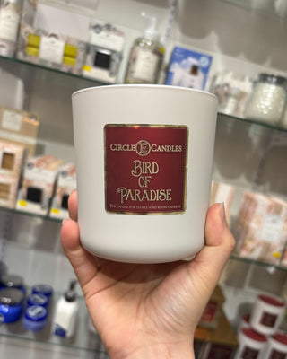 Hand holding a white candle with 'Bird of Paradise' label in a store setting