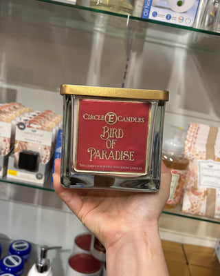 Hand holding a 'Bird of Paradise' candle from Circle E Candles in front of a store shelf.