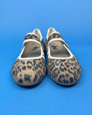 A pair of women's Mary Jane flats featuring a brown and beige leopard print pattern with white trim, shown against a solid blue background.