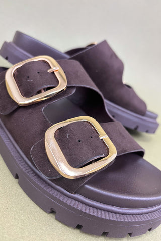 brown sandals with gold buckles on a light green background