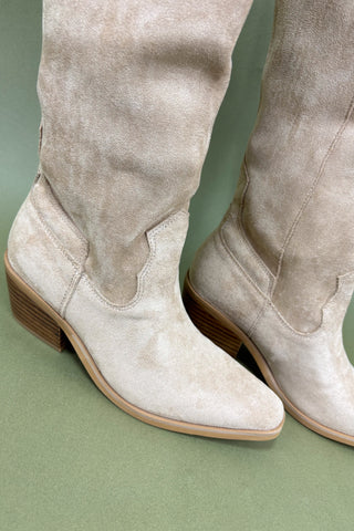 Beige suede knee-high boots on a green background