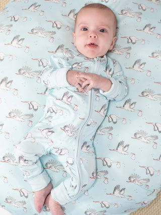 Baby in a light blue onesie with stork pattern on a matching blanket
