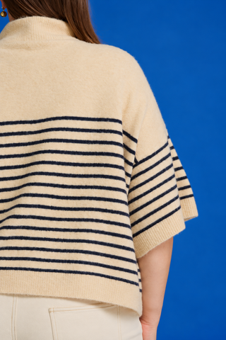 PLUS Alpine Escape Stripe High Neck Button Detail Knit Top