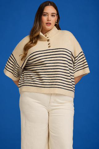 PLUS Alpine Escape Stripe High Neck Button Detail Knit Top