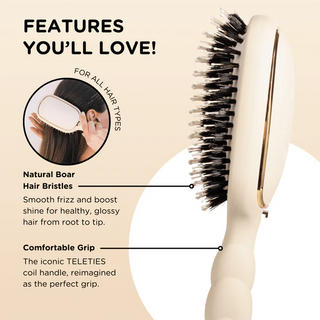 Hairbrush with features highlighted on a beige background