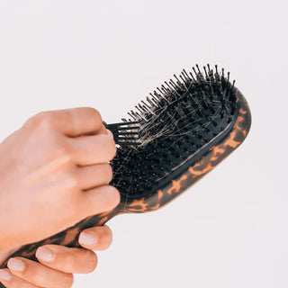 Hand holding a tortoiseshell hairbrush with bristles against a light background