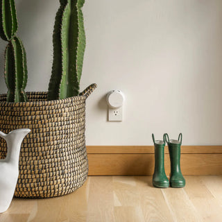 Green cactus in a woven basket, white teapot, green rain boots, and wall outlet on a light wooden floor.