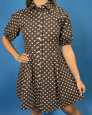 Cocoa Cottage Button Front Puff Sleeve Dress - All About You