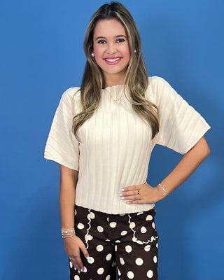 Creamy Days Seamless Short Sleeve Knit Top - All About You